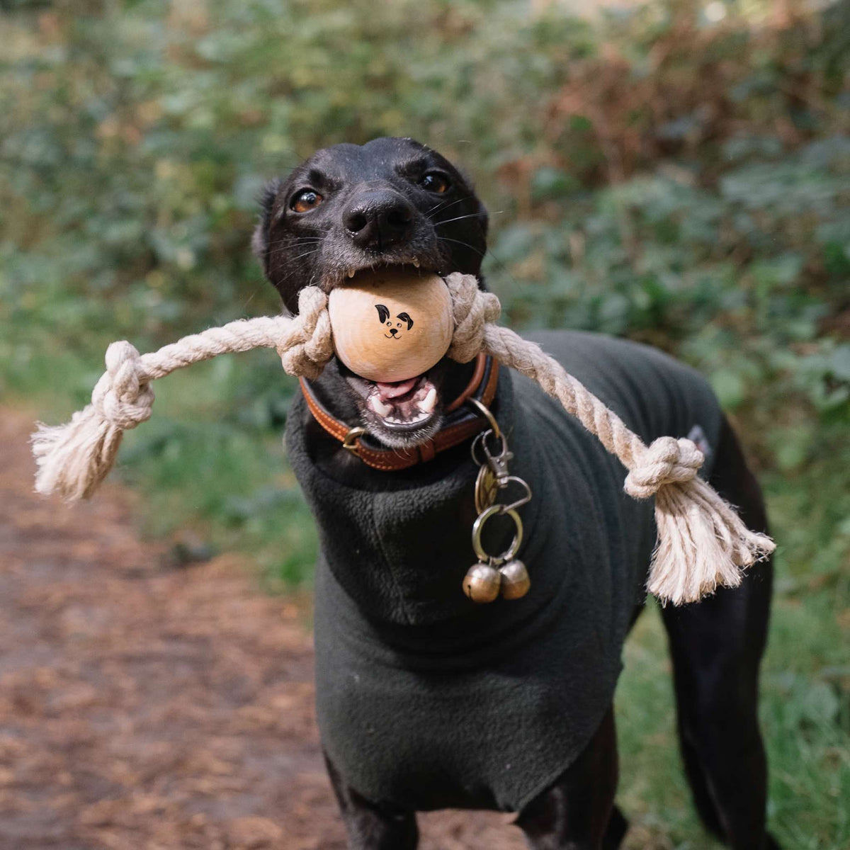 Black Dog Holding a Knotty-ness - Smug Mutts Natural Hemp Rope and Beech Wood Dog Toy, Two Knots Fixing the Ball in Place with Two Further Knots and Rope Lengths, Natural and Eco Friendly Dog Toy