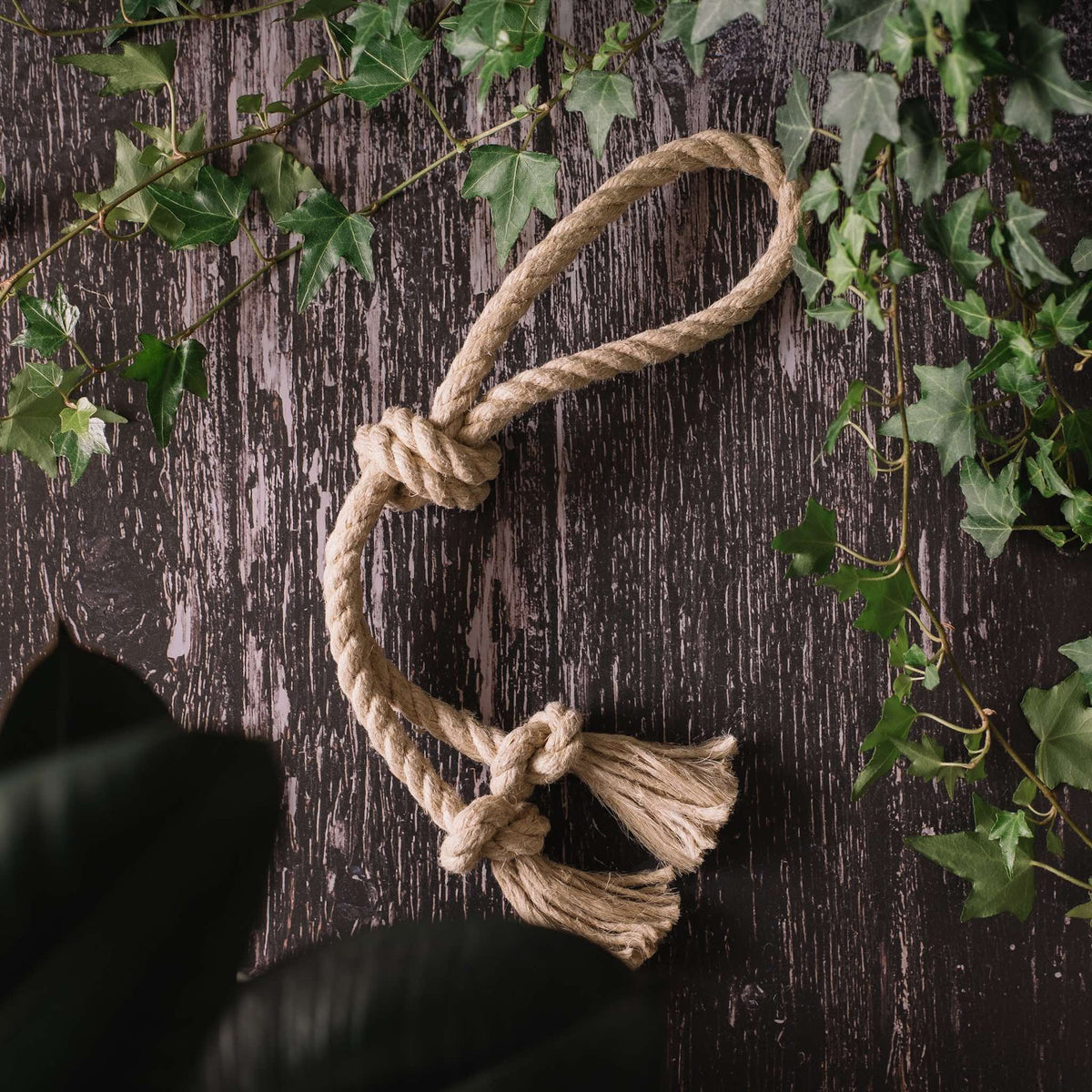 Knot Again - Smug Mutts Natural and Organic Hemp Rope Toy, Ring Shape with Loop and Two Knots, Eco Friendly Dog Toy on a Dark Wood Background