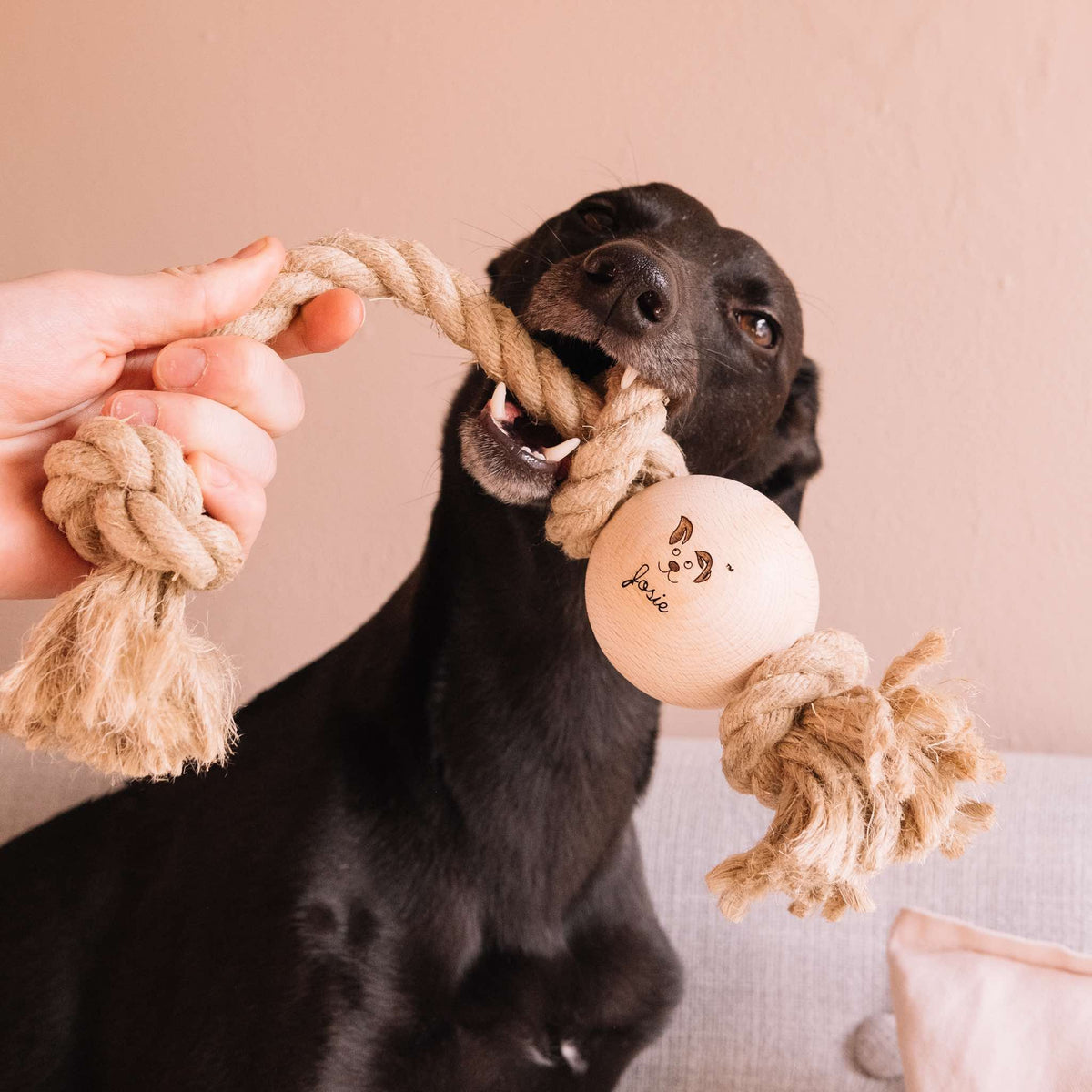 Black Dog Playing Tug with a Knot Put Smug Mutts Natural Hemp Rope and Beech Wood Dog Toy with Two Knots Holding the Ball in Place, Natural and Eco Friendly Dog Toy